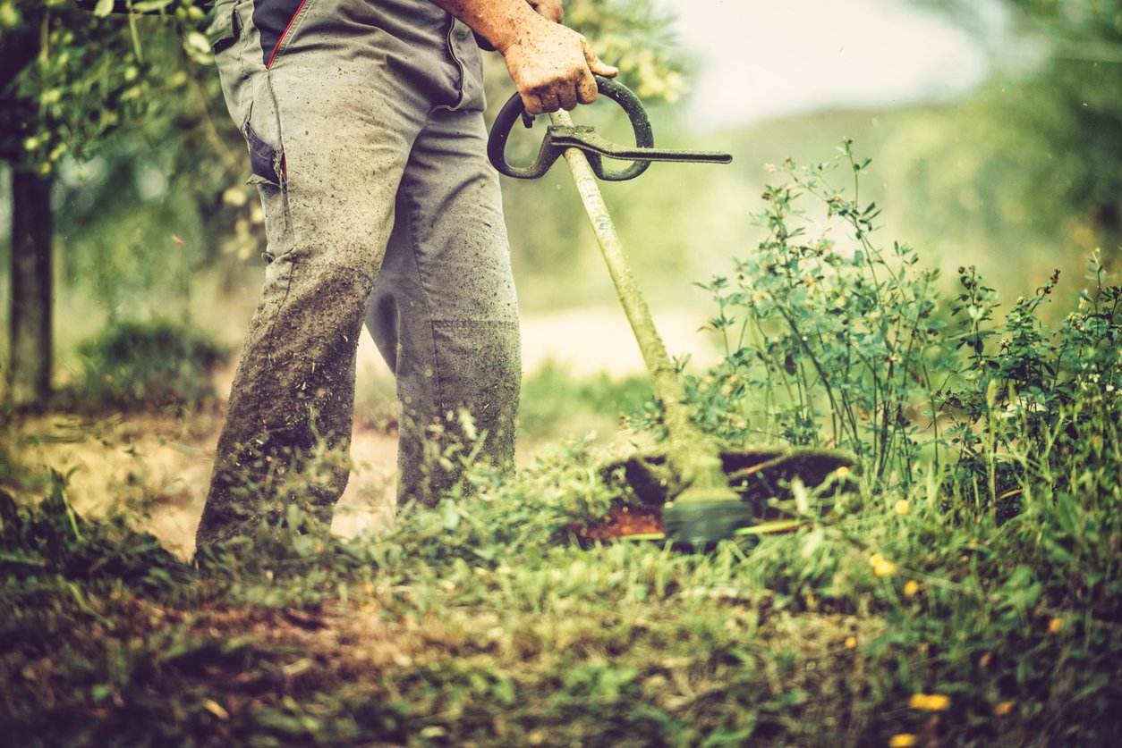 Débroussaillage de Qualité Supérieure à Tournefeuille | Entretien des Espaces Extérieurs