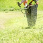 Débroussaillage Toulouse 31000